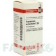 ЕВПАТОРИУМ ПУРПУРЕУМ (EUPATORIUM PURPUREUM) C 30 глобули 10 г - Гомеопатия DHU