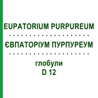 ЄВПАТОРІУМ ПУРПУРЕУМ (EUPATORIUM PURPUREUM) D 12 глобули 10 г - Гомеопатія DHU