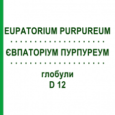 ЕВПАТОРИУМ ПУРПУРЕУМ (EUPATORIUM PURPUREUM) D 12 глобули 10 г - Гомеопатия DHU