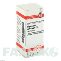 ЄВПАТОРІУМ ПУРПУРЕУМ (EUPATORIUM PURPUREUM) D 6 глобули 10 г - Гомеопатія DHU