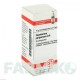 ЕВПАТОРИУМ ПУРПУРЕУМ (EUPATORIUM PURPUREUM) D 6 глобули 10 г - Гомеопатия DHU