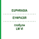 ЭУФРАЗИЯ (EUPHRASIA) LM VI глобули 5 г - Гомеопатия DHU