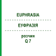 ЭУФРАЗИЯ (EUPHRASIA) Q 7 раствор 15 мл - Гомеопатия GUDJONS