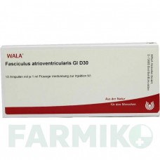 ФАСЦИКУЛЮС (FASCICULUS) D 30 ампули 10x1 мл - Гомеопатія WALA HEILMITTEL