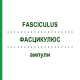 ФАСЦИКУЛЮС (FASCICULUS) ампули 10x1 мл - Гомеопатія WALA HEILMITTEL
