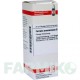 ФЕРРУМ АРСЕНИКОСУМ (FERRUM ARSENICOSUM) D 6 раствор 20 мл - Гомеопатия DHU
