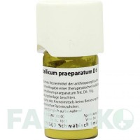 ФЕРРУМ МЕТАЛІКУМ (FERRUM METALLICUM) D 6 тритурація 20 г - Гомеопатія WELEDA