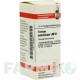 ФЕРРУМ МЕТАЛЛИКУМ (FERRUM METALLICUM) LM VI раствор 10 мл - Гомеопатия DHU
