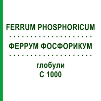 ФЕРРУМ ФОСФОРИКУМ (FERRUM PHOSPHORICUM) C 1000 глобули 1,5 г - Гомеопатия GUDJONS