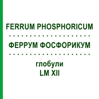 ФЕРРУМ ФОСФОРИКУМ (FERRUM PHOSPHORICUM) LM XII глобули 5 г - Гомеопатия DHU