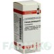 ФЕРРУМ ПИКРИНИКУМ (FERRUM PICRINICUM) D 12 глобули 10 г - Гомеопатия DHU