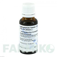 ФЛОР (FLOR) D 12 розчин 20 мл - Гомеопатія HANOSAN