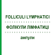 ФОЛІКУЛИ ЛІМФАТИЦІ (FOLLICULI LYMPHATICI) ампули 10x1 мл - Гомеопатія WALA HEILMITTEL