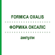 ФОРМИКА ОКСАЛИС (FORMICA OXALIS) ампулы 50x1 мл - Гомеопатия WALA HEILMITTEL