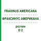 ФРАКСИНУС АМЕРИКАНА (FRAXINUS AMERICANA) D 2 раствор 20 мл - Гомеопатия DHU