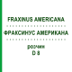 ФРАКСИНУС АМЕРИКАНА (FRAXINUS AMERICANA) D 8 раствор 20 мл - Гомеопатия DHU