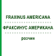 ФРАКСИНУС АМЕРИКАНА (FRAXINUS AMERICANA) раствор 20 мл - Гомеопатия DHU