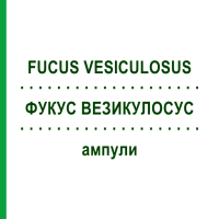 ФУКУС ВЕЗИКУЛОСУС (FUCUS VESICULOSUS) ампули 100 шт - Гомеопатія BIOLOGISCHE HEILMITTEL HEEL