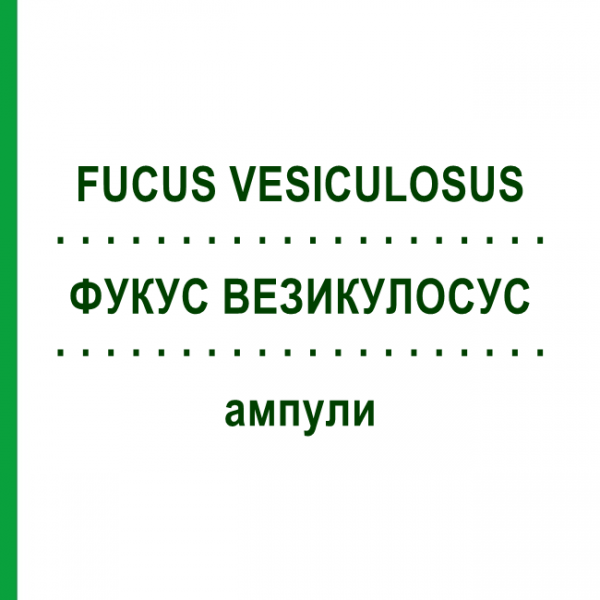 ФУКУС ВЕЗИКУЛОСУС (FUCUS VESICULOSUS) ампулы 100 шт - Гомеопатия BIOLOGISCHE HEILMITTEL HEEL