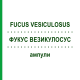 ФУКУС ВЕЗИКУЛОСУС (FUCUS VESICULOSUS) ампулы 100 шт - Гомеопатия BIOLOGISCHE HEILMITTEL HEEL
