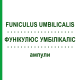 ФУНИКУЛЮС УМБИЛИКАЛИС (FUNICULUS UMBILICALIS) ампулы 10x1 мл - Гомеопатия WALA HEILMITTEL