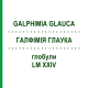 ГАЛФИМИЯ ГЛАУКА (GALPHIMIA GLAUCA) LM XXIV глобули 5 г - Гомеопатия DHU
