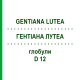 ГЕНТИАНА ЛУТЕА (GENTIANA LUTEA) D 12 глобули 10 г - Гомеопатия DHU