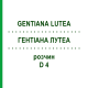 ГЕНТИАНА ЛУТЕА (GENTIANA LUTEA) D 4 раствор 20 мл - Гомеопатия DHU