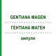 ГЕНТІАНА МАГЕН (GENTIANA MAGEN) ампули 50x1 мл - Гомеопатія WALA HEILMITTEL
