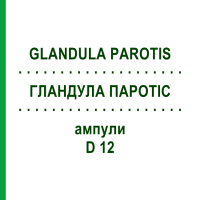 ГЛАНДУЛА ПАРОТІС (GLANDULA PAROTIS) D 12 ампули 10x1 мл - Гомеопатія WALA HEILMITTEL