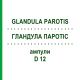 ГЛАНДУЛА ПАРОТІС (GLANDULA PAROTIS) D 12 ампули 10x1 мл - Гомеопатія WALA HEILMITTEL