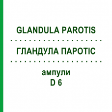 ГЛАНДУЛА ПАРОТІС (GLANDULA PAROTIS) D 6 ампули 10x1 мл - Гомеопатія WALA HEILMITTEL