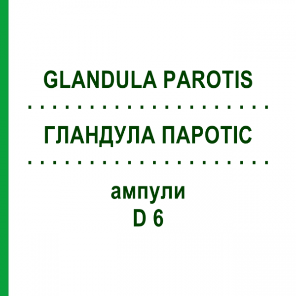 ГЛАНДУЛА ПАРОТІС (GLANDULA PAROTIS) D 6 ампули 10x1 мл - Гомеопатія WALA HEILMITTEL