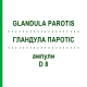 ГЛАНДУЛА ПАРОТІС (GLANDULA PAROTIS) D 8 ампули 10x1 мл - Гомеопатія WALA HEILMITTEL