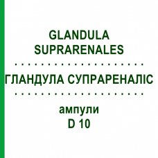 ГЛАНДУЛА СУПРАРЕНАЛИС (GLANDULA SUPRARENALES) D 10 ампулы 10x1 мл - Гомеопатия WALA HEILMITTEL