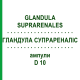 ГЛАНДУЛА СУПРАРЕНАЛІС (GLANDULA SUPRARENALES) D 10 ампули 10x1 мл - Гомеопатія WALA HEILMITTEL