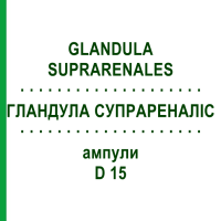 ГЛАНДУЛА СУПРАРЕНАЛИС (GLANDULA SUPRARENALES) D 15 ампулы 10x1 мл - Гомеопатия WALA HEILMITTEL