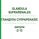 ГЛАНДУЛА СУПРАРЕНАЛІС (GLANDULA SUPRARENALES) D 15 ампули 10x1 мл - Гомеопатія WALA HEILMITTEL