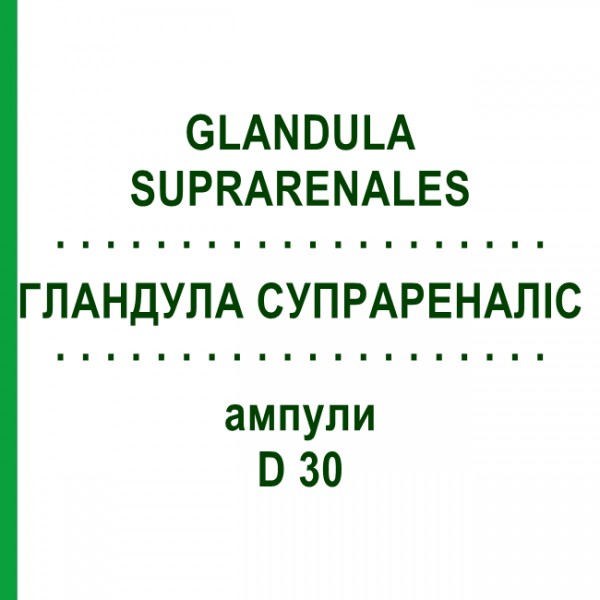 ГЛАНДУЛА СУПРАРЕНАЛИС (GLANDULA SUPRARENALES) D 30 ампулы 10x1 мл - Гомеопатия WALA HEILMITTEL