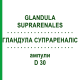 ГЛАНДУЛА СУПРАРЕНАЛІС (GLANDULA SUPRARENALES) D 30 ампули 10x1 мл - Гомеопатія WALA HEILMITTEL