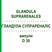 ГЛАНДУЛА СУПРАРЕНАЛИС (GLANDULA SUPRARENALES) D 30 ампулы 10x1 мл - Гомеопатия WALA HEILMITTEL
