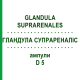 ГЛАНДУЛА СУПРАРЕНАЛІС (GLANDULA SUPRARENALES) D 5 ампули 10x1 мл - Гомеопатія WALA HEILMITTEL