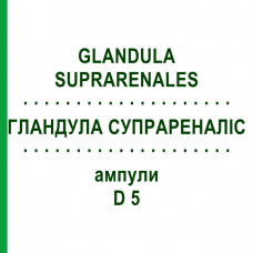 ГЛАНДУЛА СУПРАРЕНАЛІС (GLANDULA SUPRARENALES) D 5 ампули 10x1 мл - Гомеопатія WALA HEILMITTEL