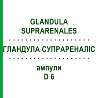 ГЛАНДУЛА СУПРАРЕНАЛИС (GLANDULA SUPRARENALES) D 6 ампулы 10x1 мл - Гомеопатия WALA HEILMITTEL