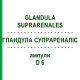 ГЛАНДУЛА СУПРАРЕНАЛІС (GLANDULA SUPRARENALES) D 6 ампули 10x1 мл - Гомеопатія WALA HEILMITTEL