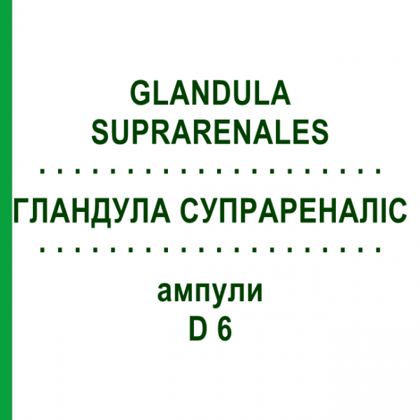 ГЛАНДУЛА СУПРАРЕНАЛИС (GLANDULA SUPRARENALES) D 6 ампулы 10x1 мл - Гомеопатия WALA HEILMITTEL