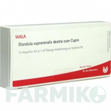ГЛАНДУЛА СУПРАРЕНАЛІС (GLANDULA SUPRARENALES) ампули 10x1 мл - Гомеопатія WALA HEILMITTEL