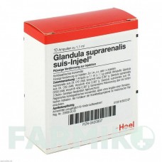 ГЛАНДУЛА СУПРАРЕНАЛИС (GLANDULA SUPRARENALIS) ампулы 10 шт - Гомеопатия BIOLOGISCHE HEILMITTEL HEEL