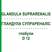 ГЛАНДУЛА СУПРАРЕНАЛІС (GLANDULA SUPRARENALIS) D 12 глобули 10 г - Гомеопатія DR.RECKEWEG