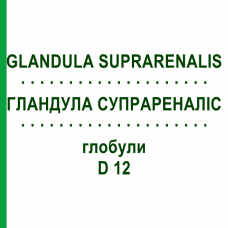 ГЛАНДУЛА СУПРАРЕНАЛИС (GLANDULA SUPRARENALIS) D 12 глобули 10 г - Гомеопатия DR.RECKEWEG